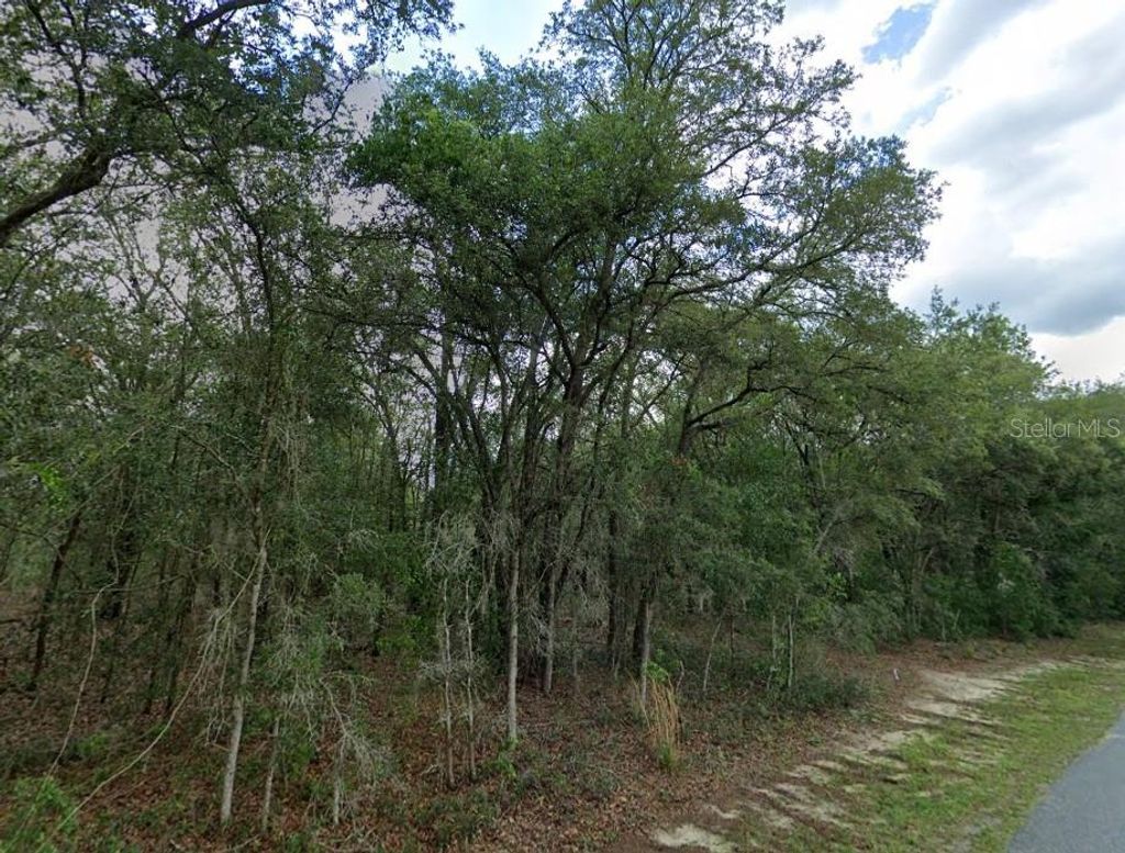 Photo of 1449 E Wedgewood Lane, Hernando, FL 34442 (MLS # TB8498773)