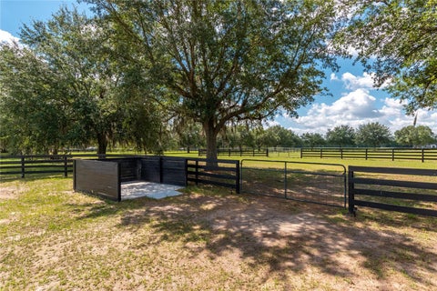 Tiny photo for 6957 NW 54th Loop, Ocala, FL 34482 (MLS # OM724604)