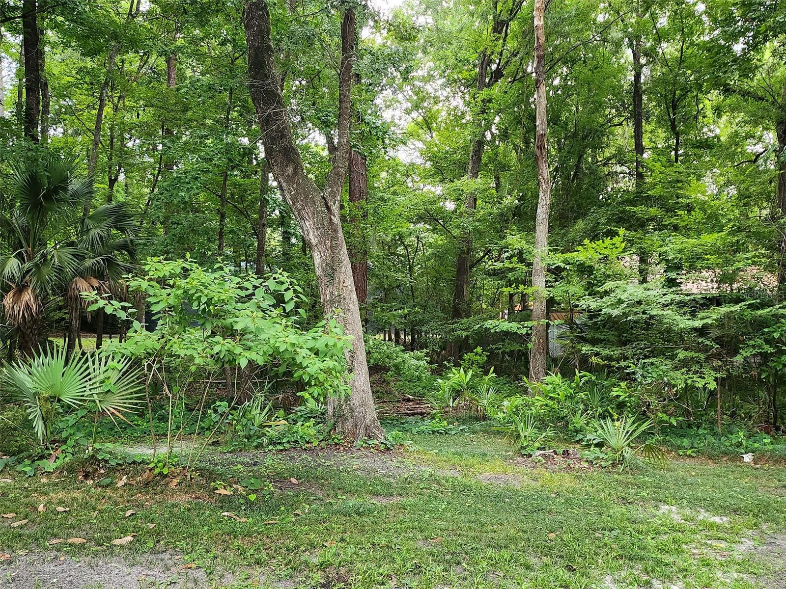 DEER RRUNS/D PH I - Residential