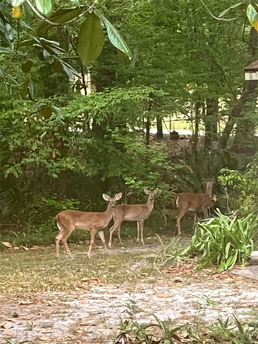 DEER RRUNS/D PH I - Residential