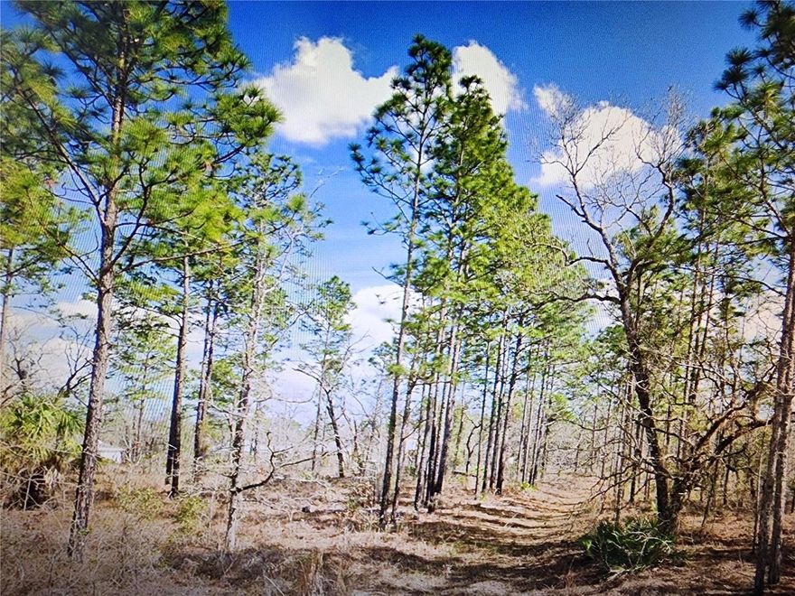 Just Over Half an Acre. Perfect Residential Lot #24 to build your Dream Home! New properties are popping up around here. If it is peace and quiet you are looking for, then this is the land for you. Located in a NO flood zone. There are electric available. This Lot is on flat terrain for easy building. The paved roads are already in place. Just minutes away from Weeki Wachee and Chassahowitzka River. Easy commute to Tampa thru Hwy 50 and Suncoast Parkway.