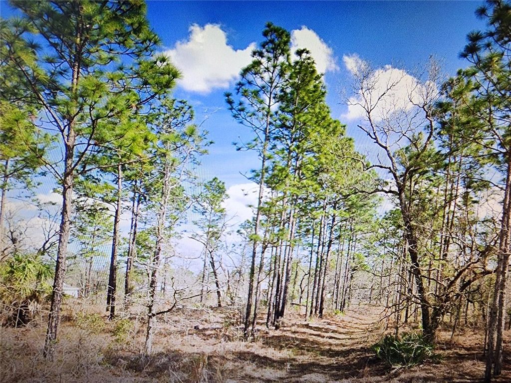 Photo of Dusky Sparrow Road #Lot 24, Weeki Wachee, FL 34614 (MLS # TB8461866)