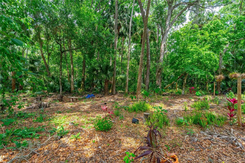 Photo of 849 Terrace Avenue, Daytona Beach, FL 32114 (MLS # NS1085427)