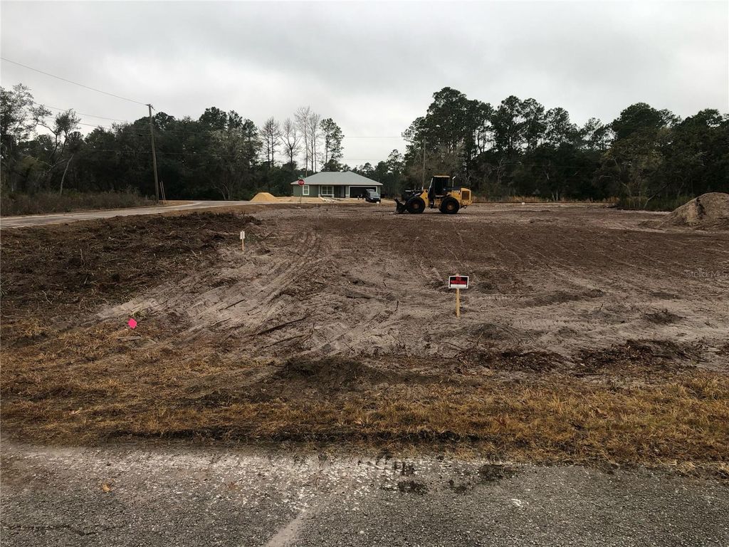 Photo of 0 Fisher Loop, Ocklawaha, FL 32179 (MLS # OM719370)