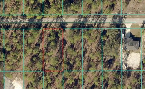 TBD NW TAMARIND LANE DUNNELLON FL 34431