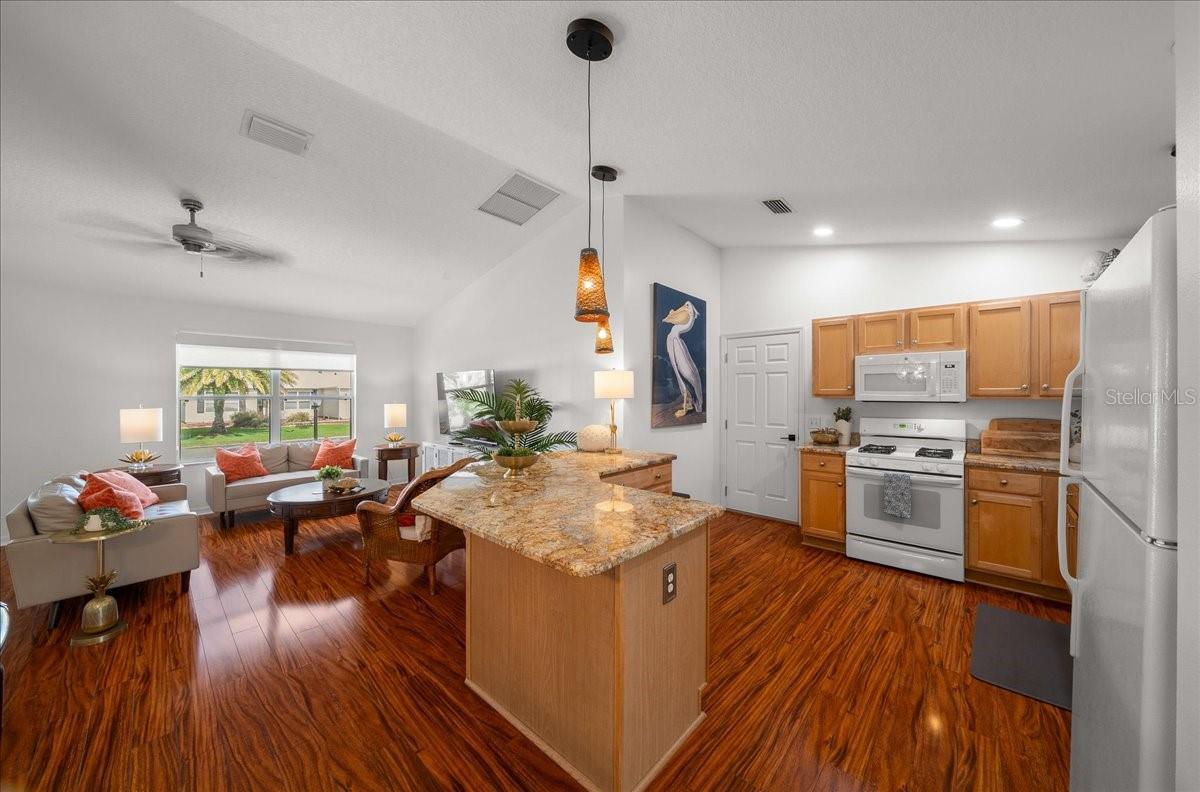 VILLAGES OF SUMTER - Residential