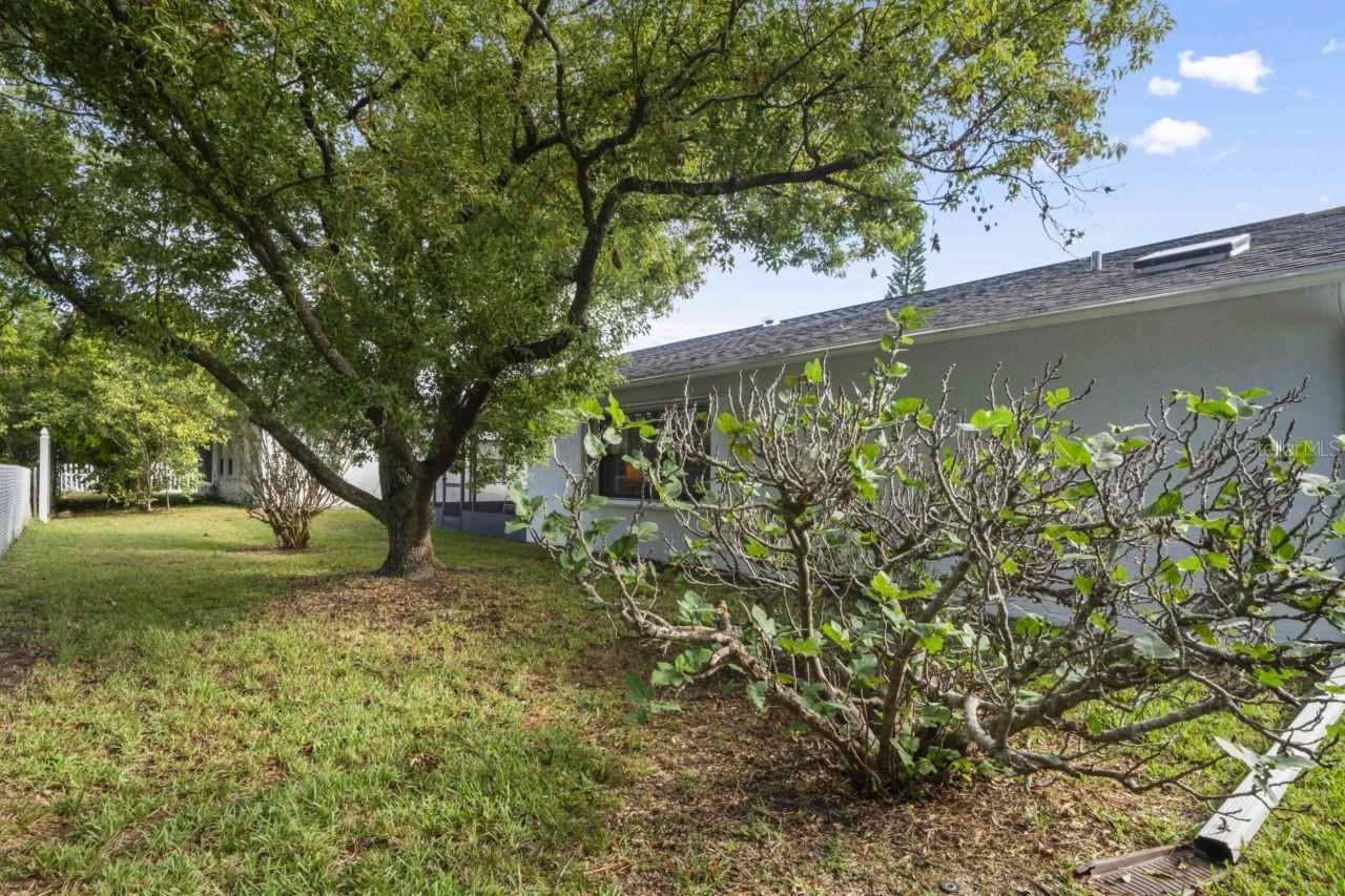 EMBASSY HILLS - Residential