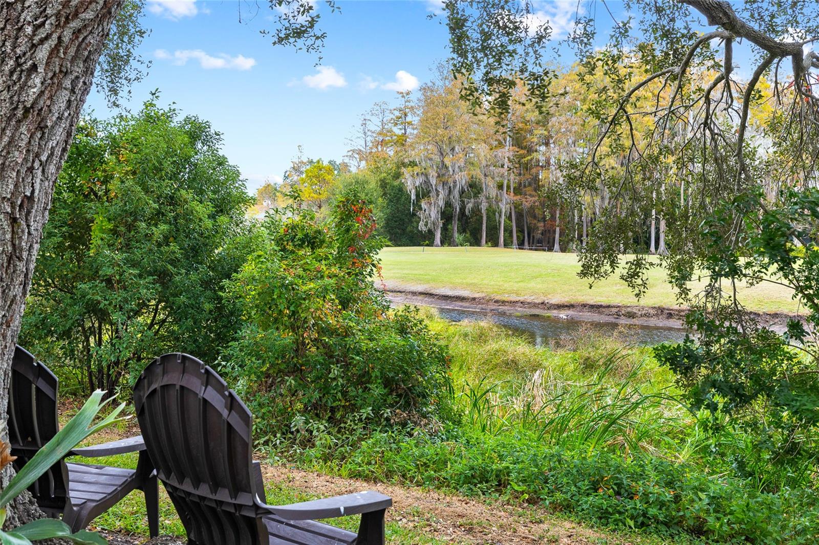 CARROLLWOOD VILLAGE SEC 1 - Residential