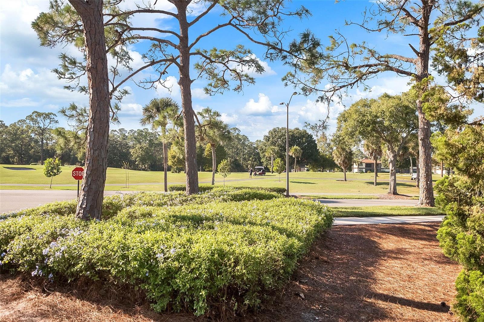 SOUTHPOINTE CONDO - Residential