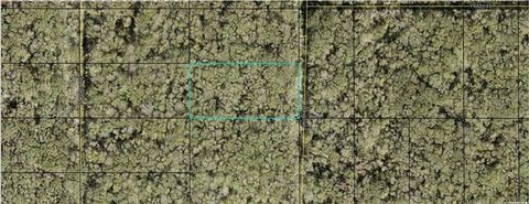 21-10-28-2775-00050-0177 RUTH AVENUE HASTINGS FL 32145
