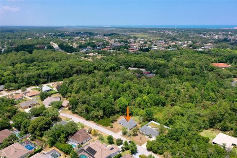 A home in PALM COAST