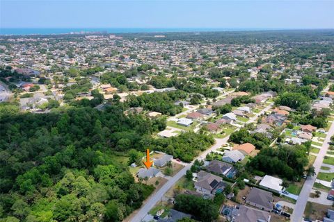 A home in PALM COAST