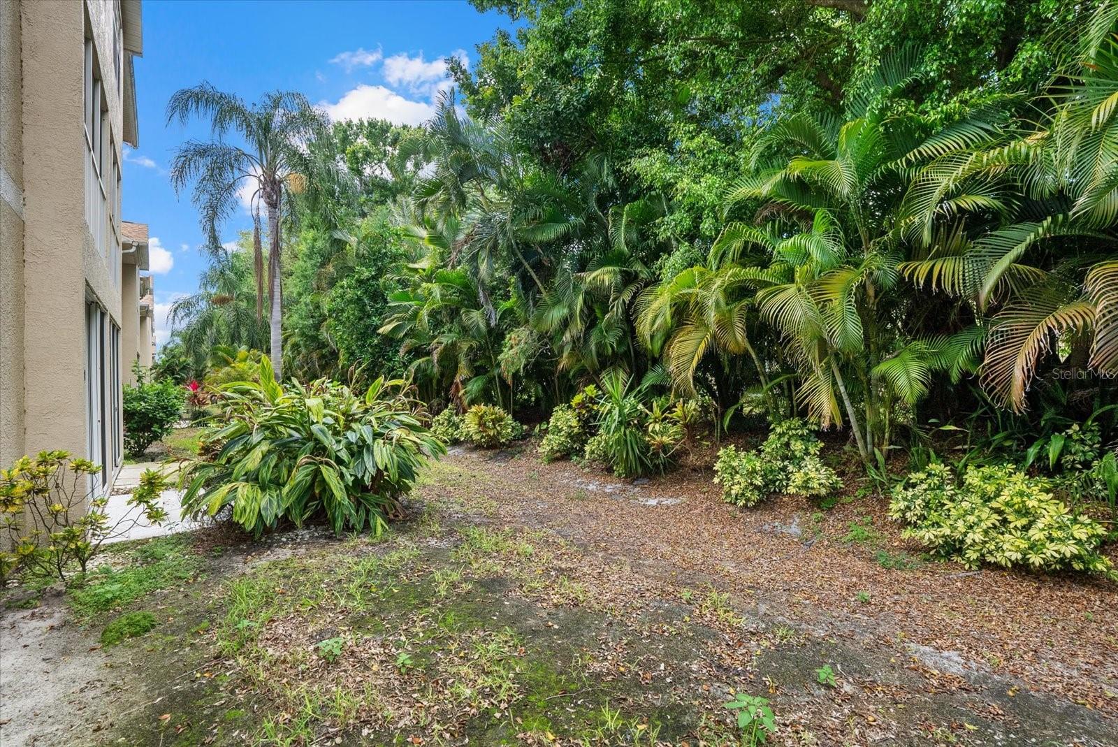 PINESTONE AT PALMER RANCH - Residential