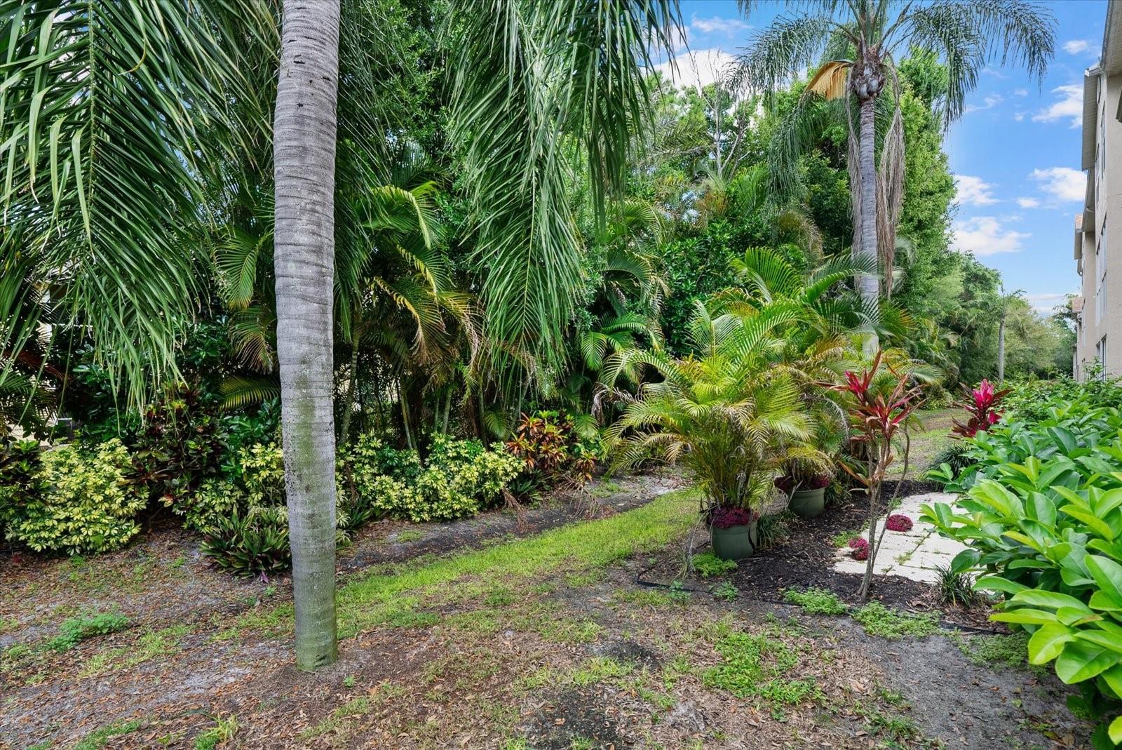 PINESTONE AT PALMER RANCH - Residential