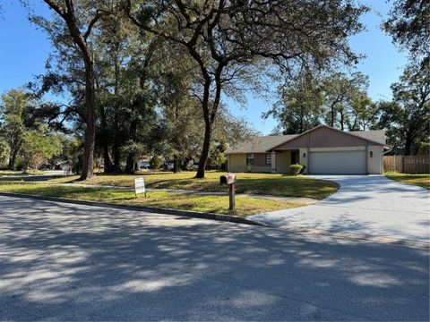 A home in ORLANDO