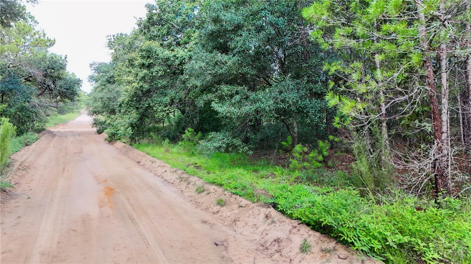 INTERLACHEN LAKES ESTATES - Land