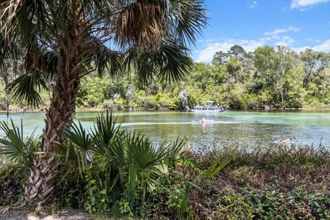 Tiny photo for 19126 SW 101st Street, Dunnellon, FL 34432 (MLS # NS1087700)