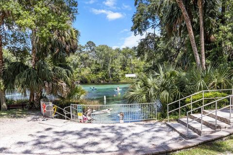 Tiny photo for 19126 SW 101st Street, Dunnellon, FL 34432 (MLS # NS1087700)