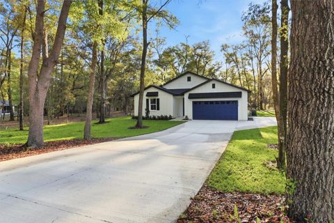 Tiny photo for 19126 SW 101st Street, Dunnellon, FL 34432 (MLS # NS1087700)