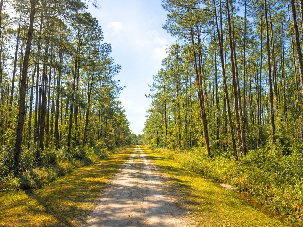 Photo of 10675 Delgado Avenue, Hastings, FL 32145 (MLS # OM721084)