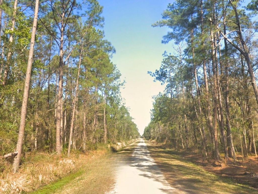 Photo of 10675 Delgado Avenue, Hastings, FL 32145 (MLS # OM721084)