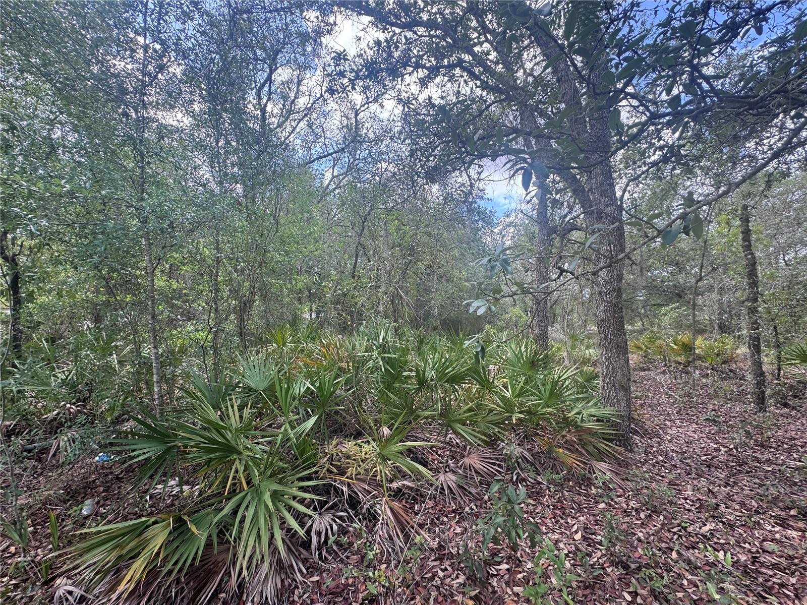 OAK RIDGE ESTATES - Land