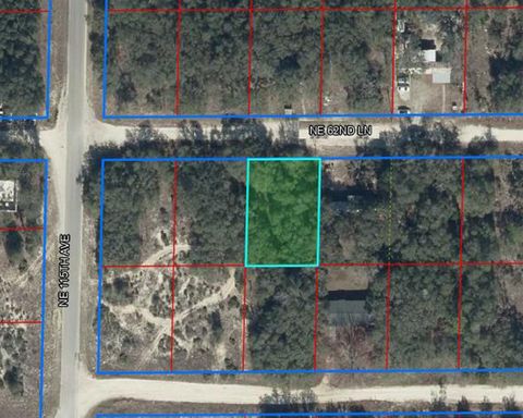 11548 NE 62ND LANE WILLISTON FL 32696