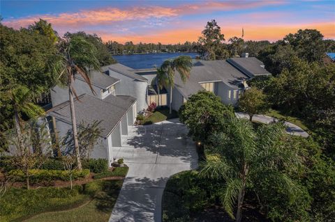 A home in TAMPA