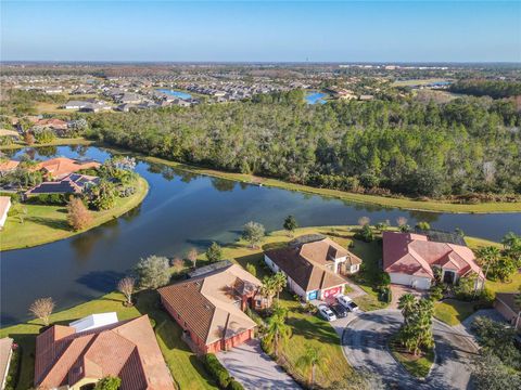 A home in KISSIMMEE