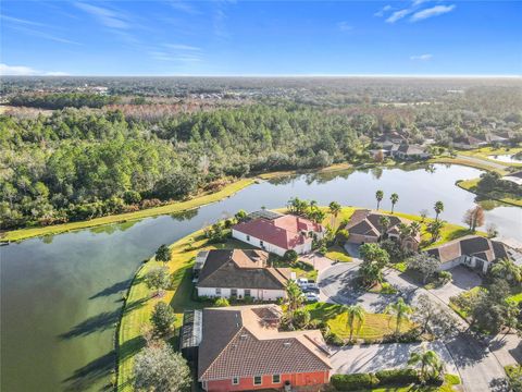 A home in KISSIMMEE