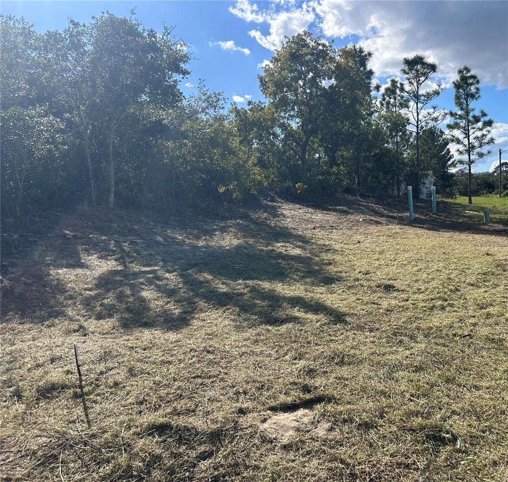 Photo of 410 Caribbean Court, Poinciana, FL 34759 (MLS # A4709983)