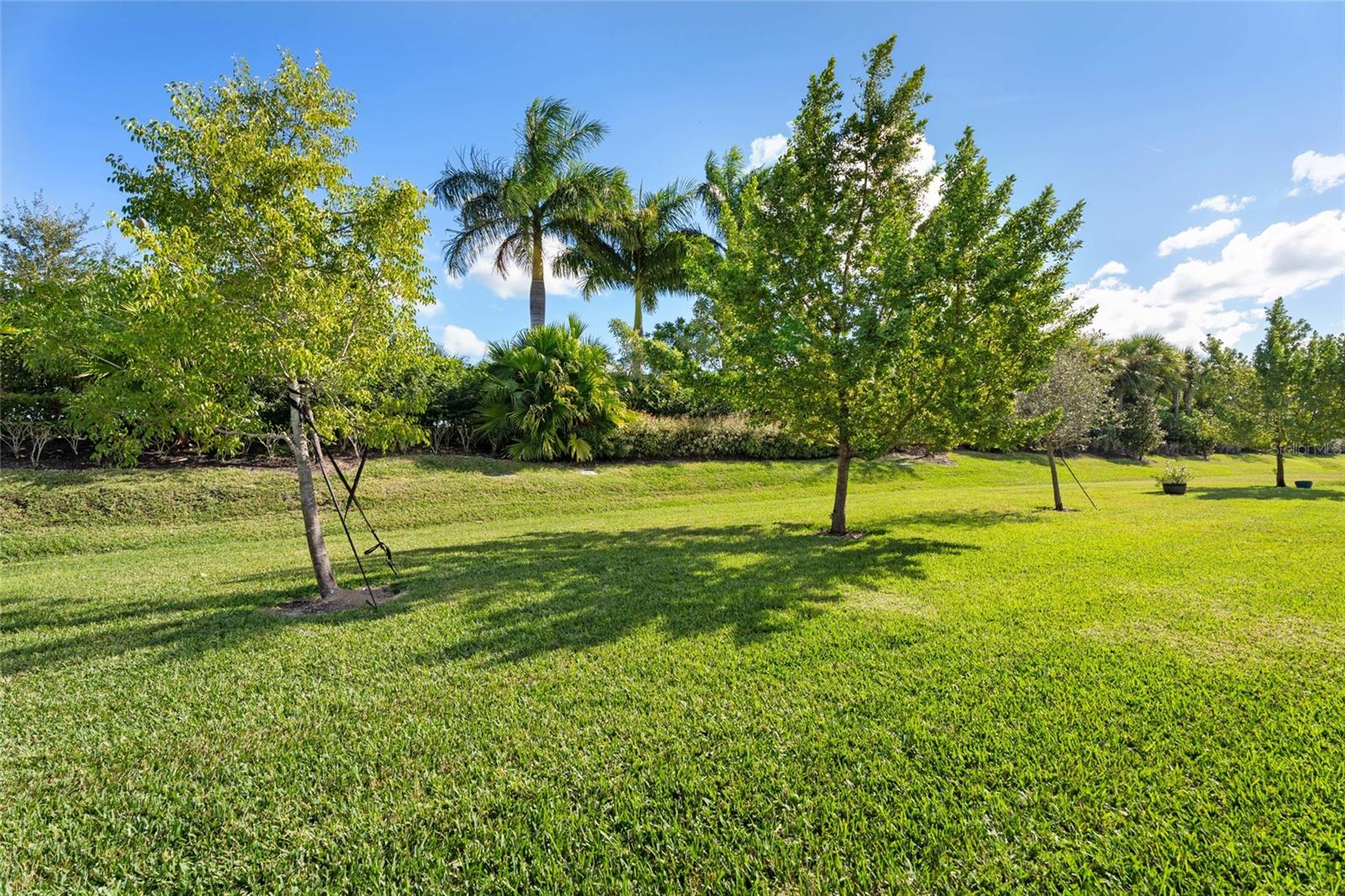 TELARO AT SOUTHERN GROVE - Residential