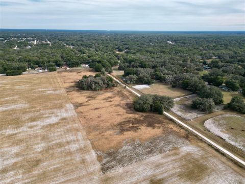 Tiny photo for Tbd SW 140th Avenue, Dunnellon, FL 34432 (MLS # OM714290)