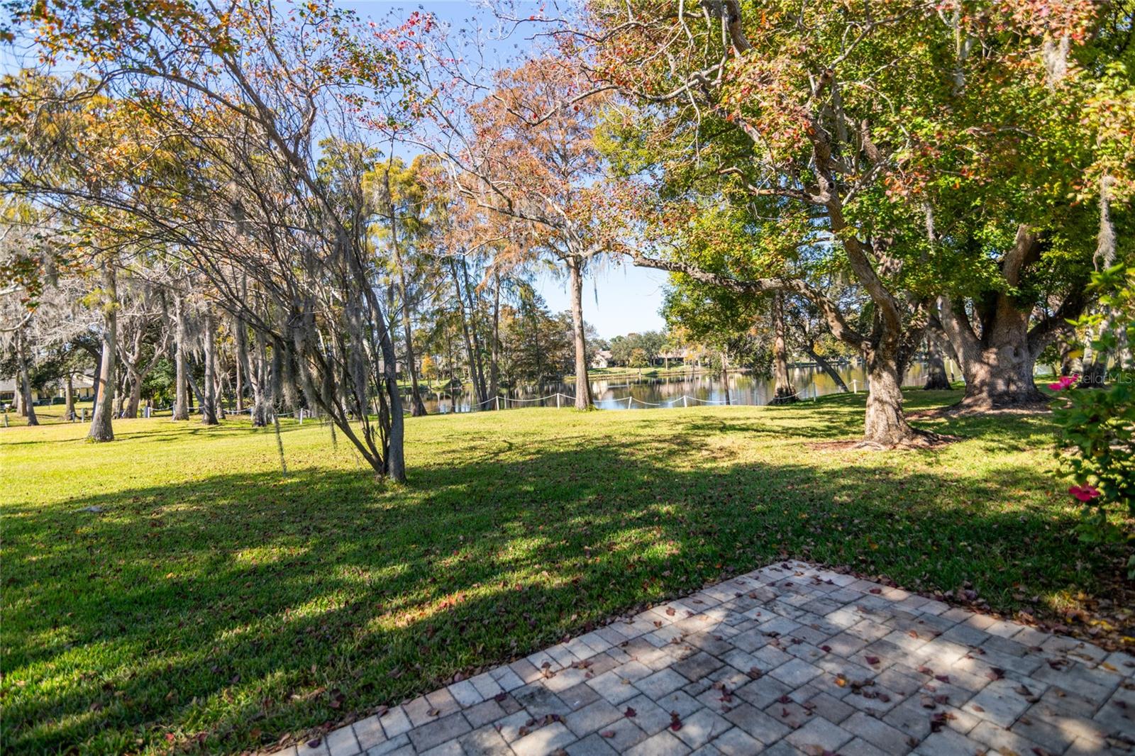 VILLAGE ON THE GREEN - Residential