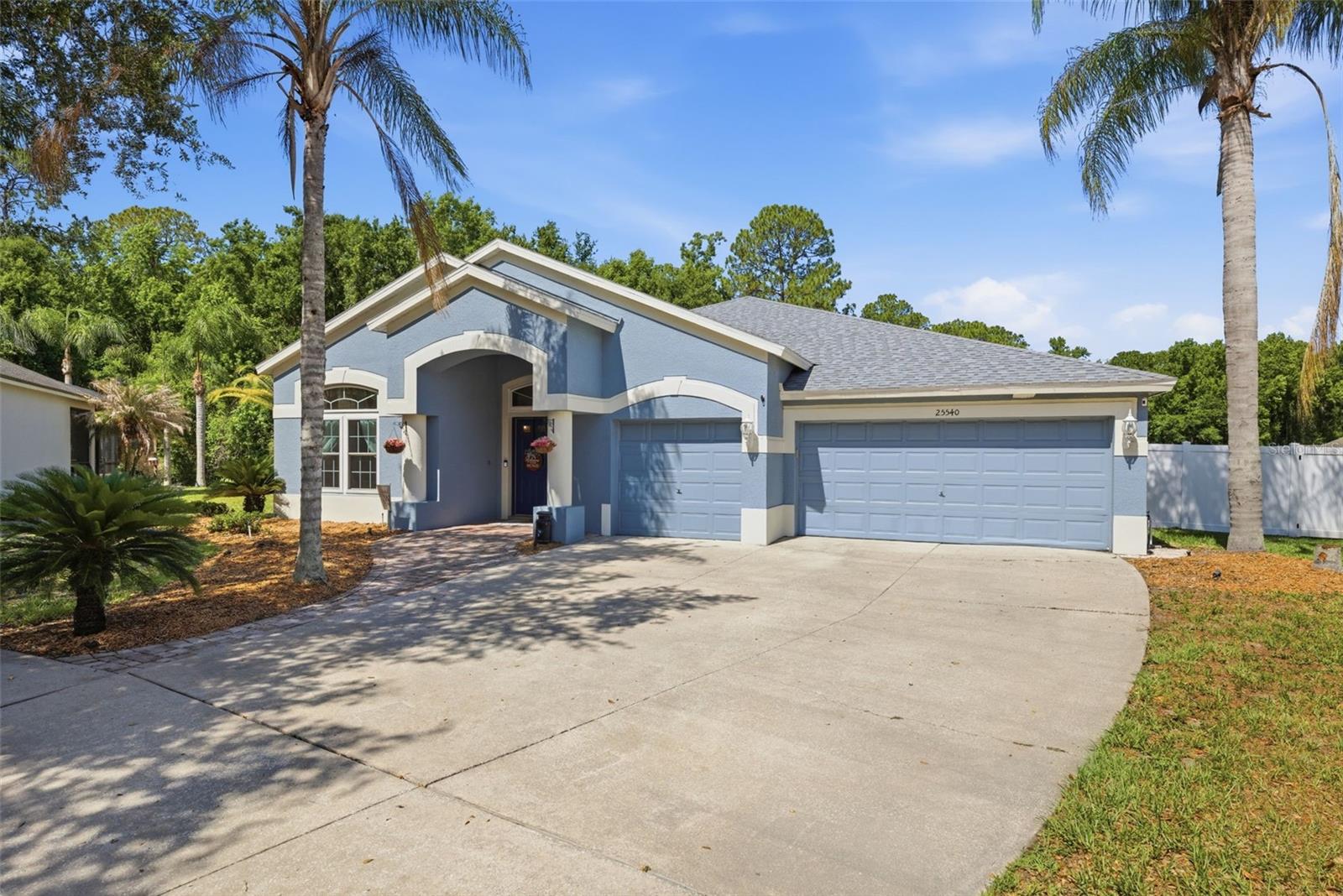 25540 RISEN STAR DRIVE