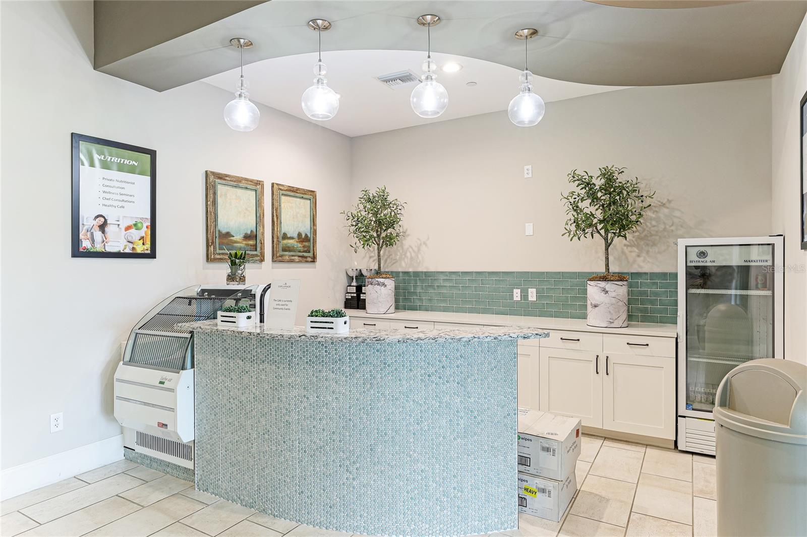 ESPLANADE AT ARTISAN LAKES - Residential