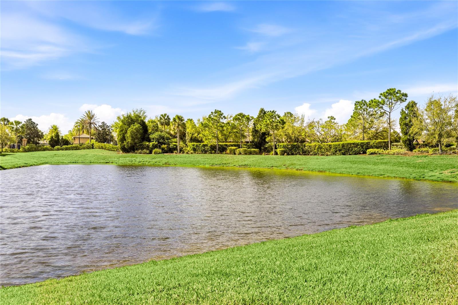 ESPLANADE AT ARTISAN LAKES - Residential