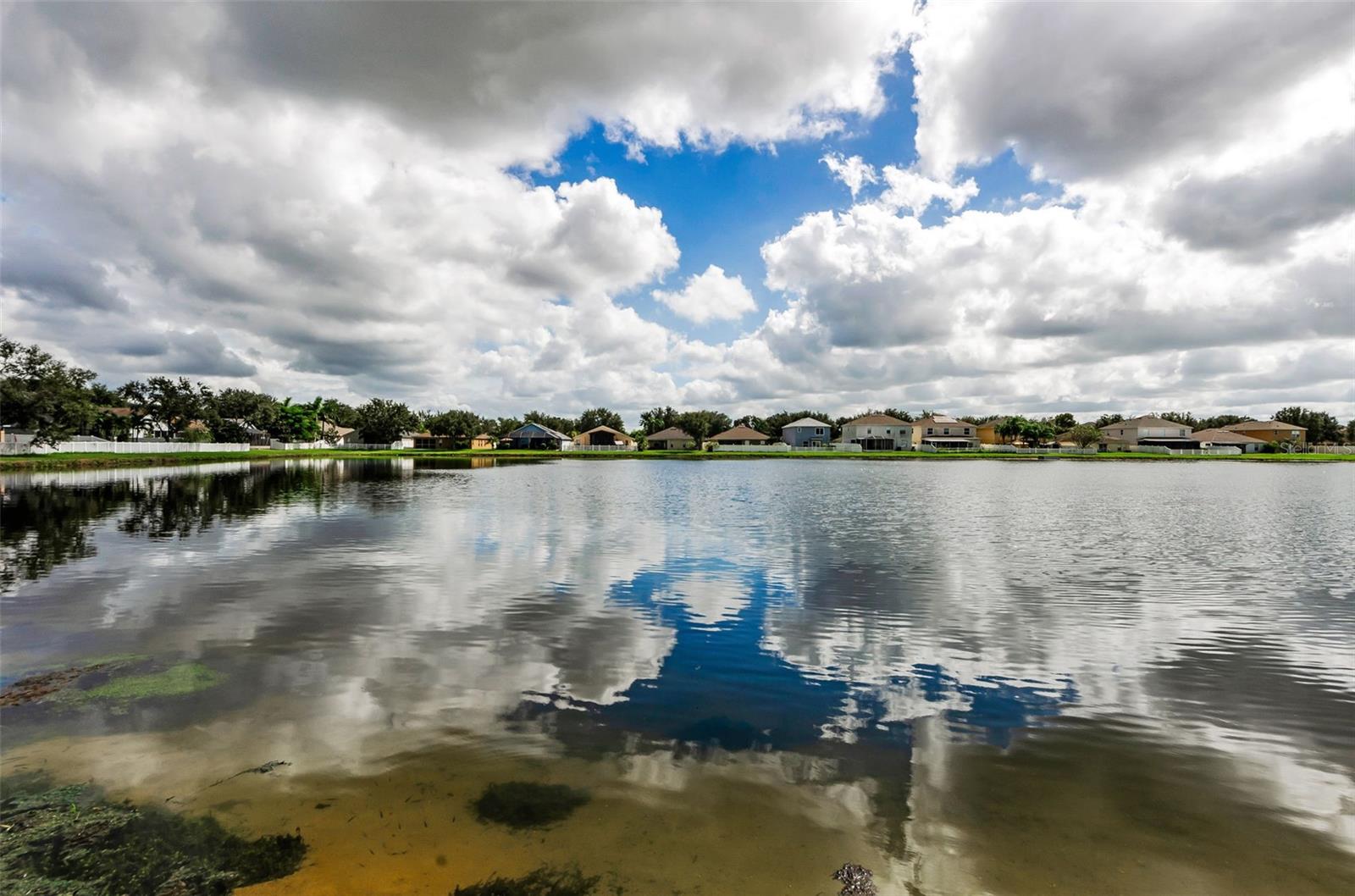 SOUTH FORK UNIT 10 - Residential