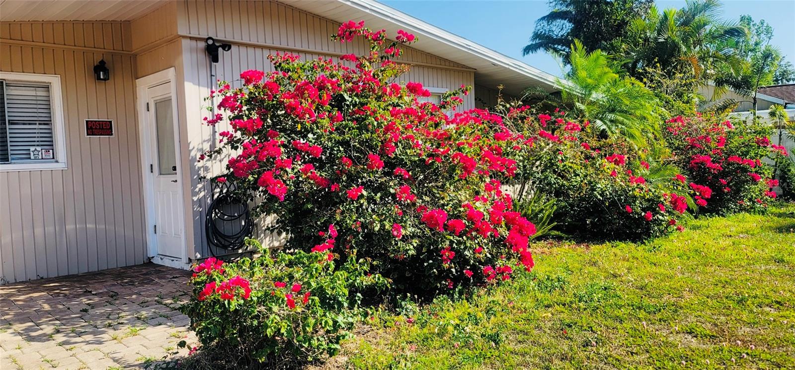 KENSINGTON PARK - Residential