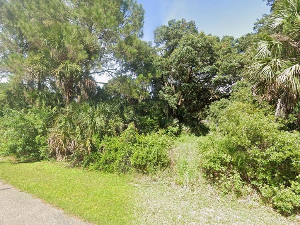 Photo of 31 Gainsboro Street, North Port, FL 34291 (MLS # C7527636)