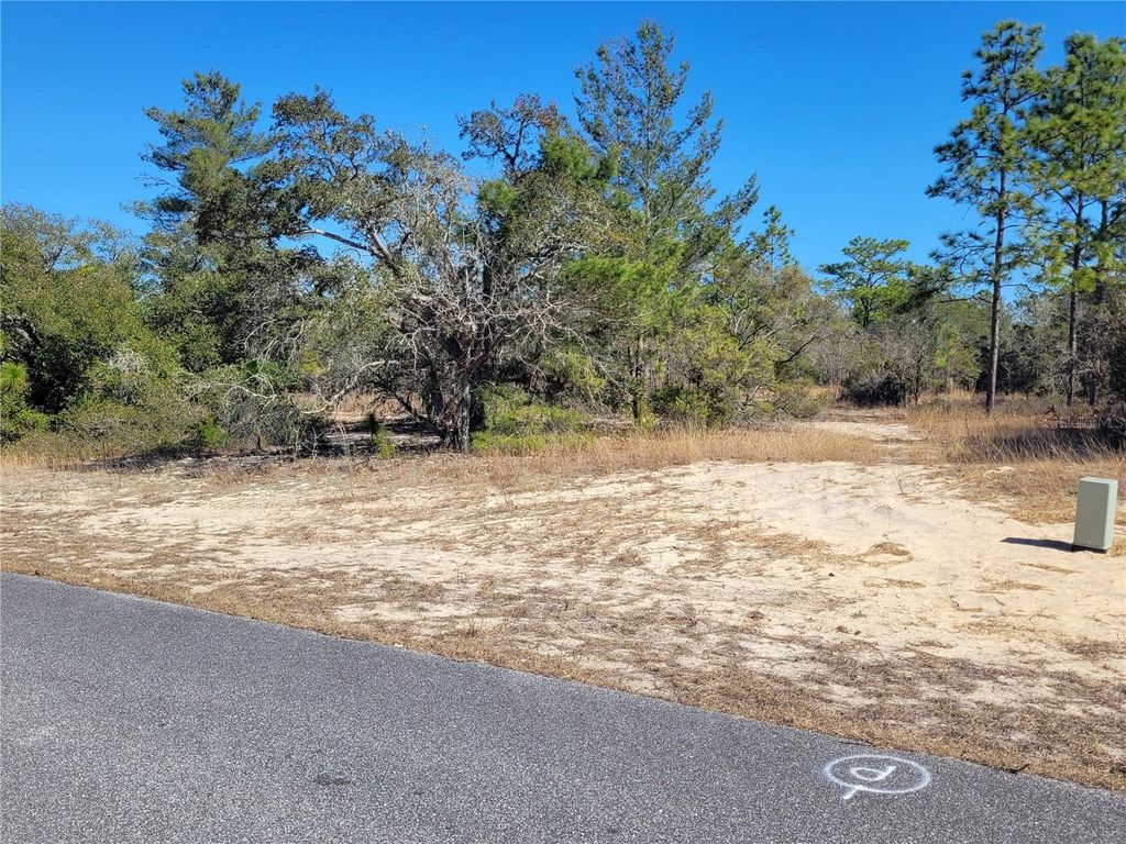 Photo of 3138 W Redgate Drive, Citrus Springs, FL 34433 (MLS # OM718095)