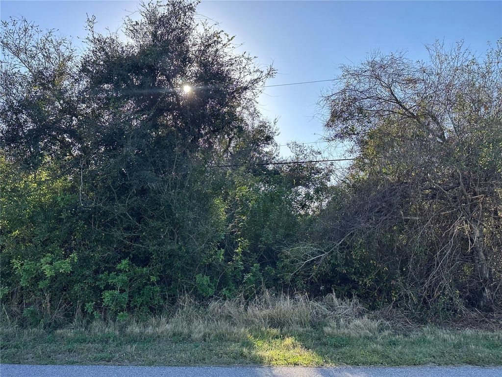 Photo of 369 San Cristobal Avenue, Punta Gorda, FL 33983 (MLS # TB8351823)