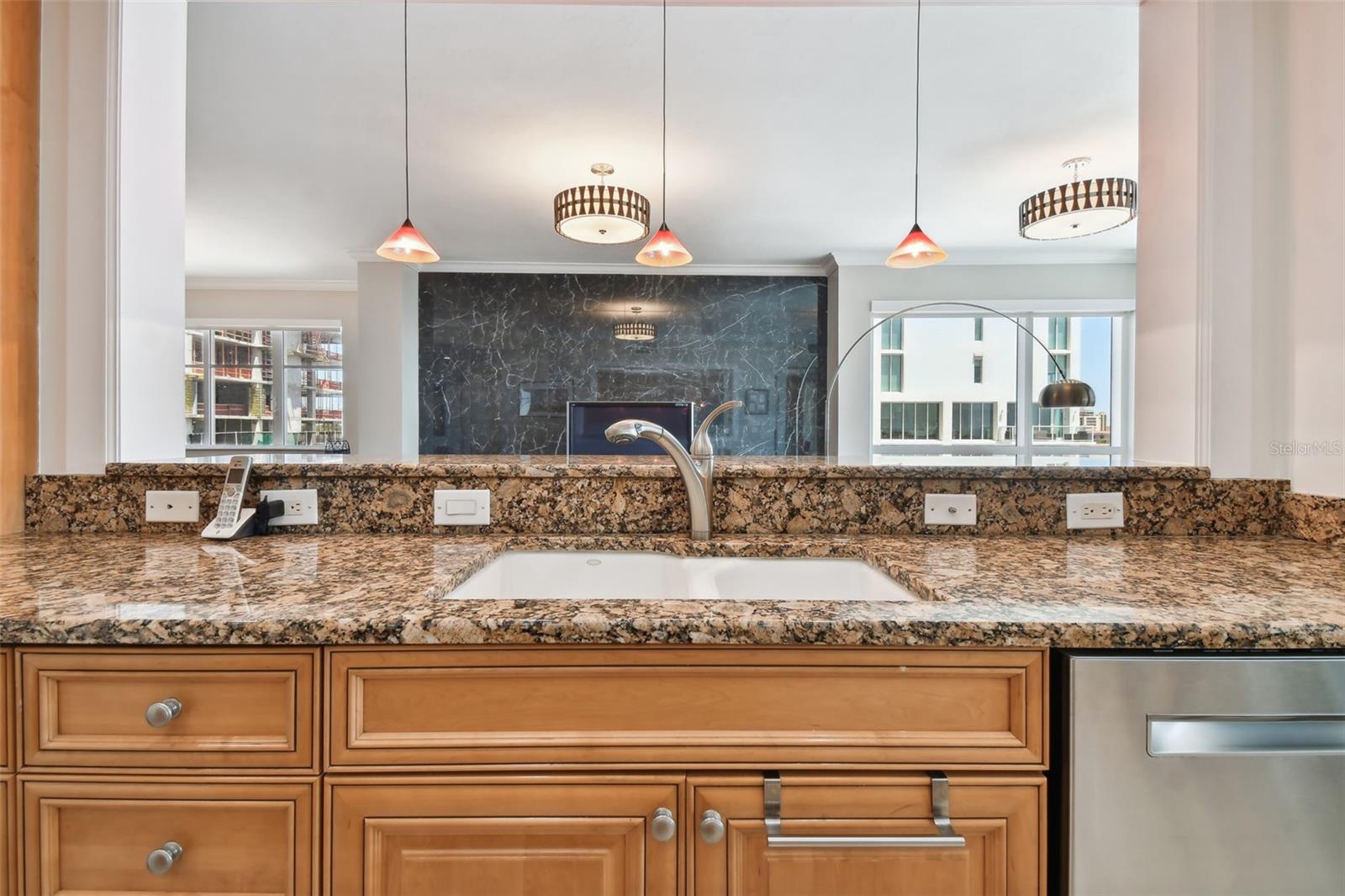 PARKSHORE PLAZA CONDO - Residential