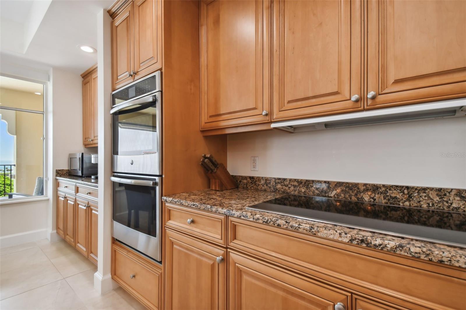 PARKSHORE PLAZA CONDO - Residential