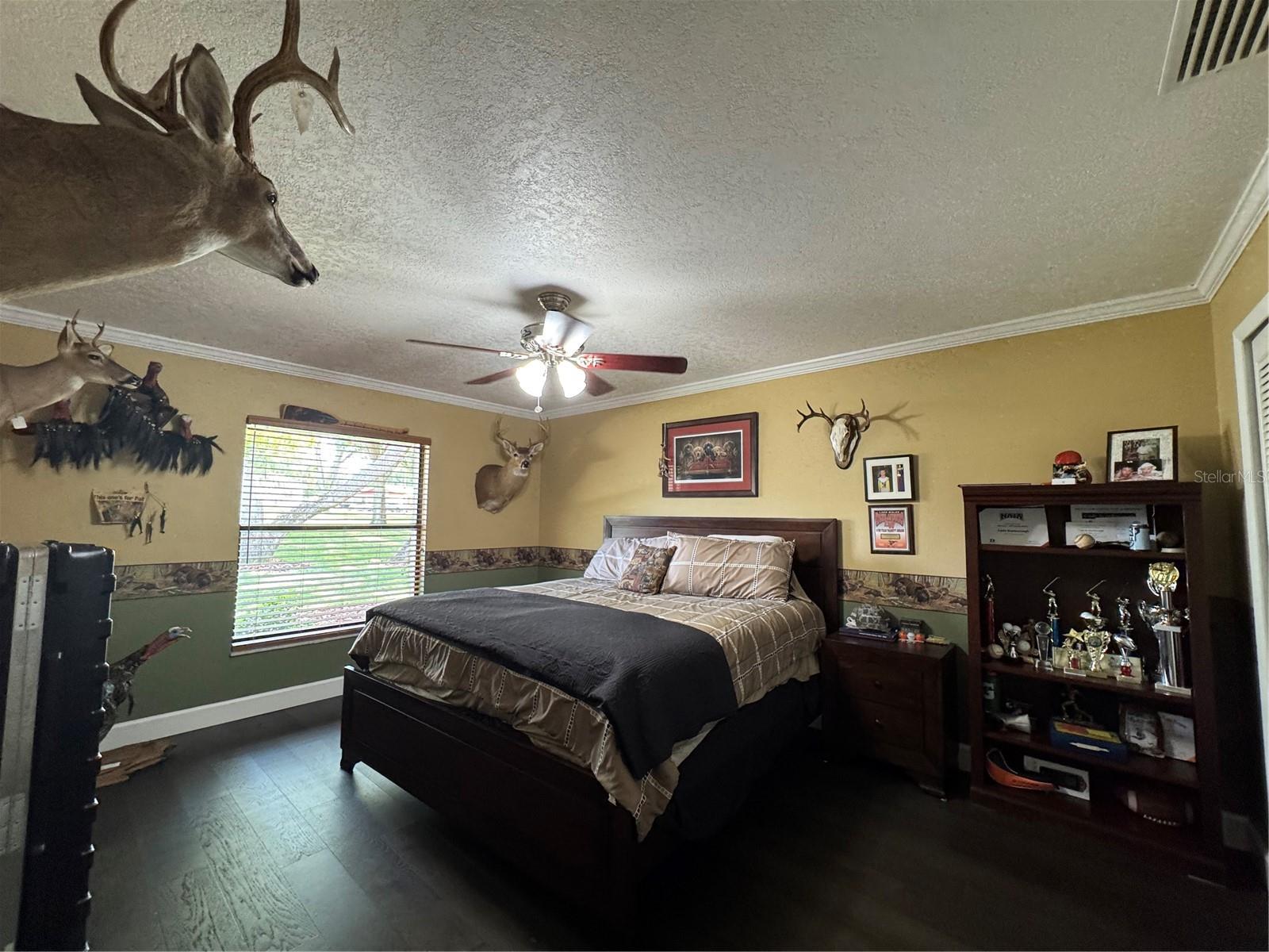 NOT IN SUBDIVISION - Residential
