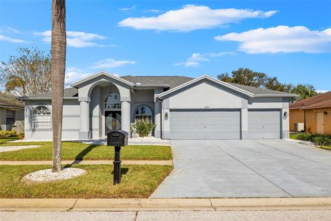 A home in RIVERVIEW