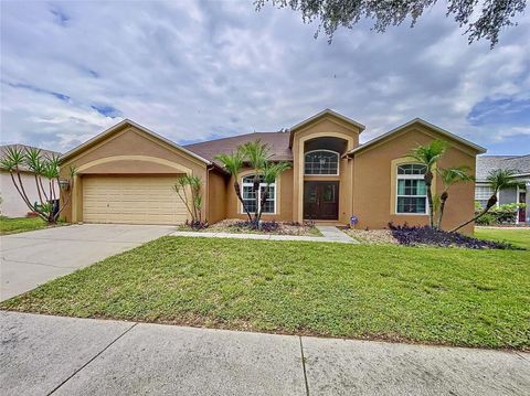 A home in VALRICO