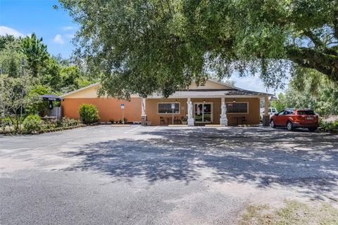 Photo of 24929 County Road 42, Paisley, FL 32767 (MLS # G5099921)
