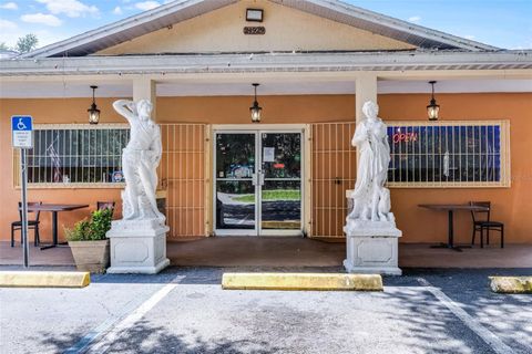 Tiny photo for 24929 County Road 42, Paisley, FL 32767 (MLS # G5099921)