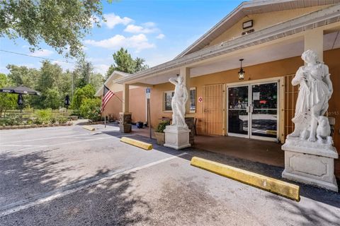 Tiny photo for 24929 County Road 42, Paisley, FL 32767 (MLS # G5099921)